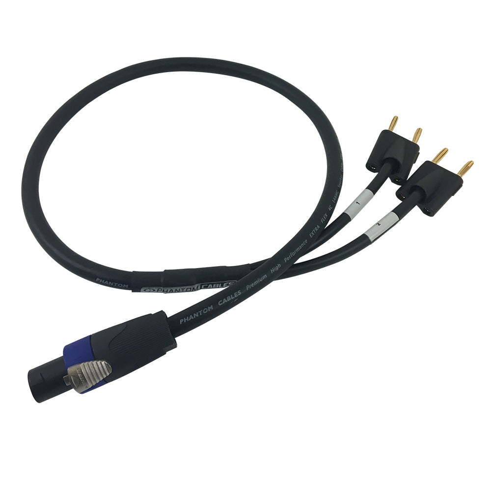 4 pole 2024 speaker cable